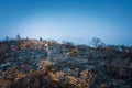 After wildfire, man walking acroos the ash field, Sai Kung, Hong Kong, Asia