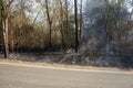 Forest fires on the side of the road, Disasters that occurred in the early summer of Thailand.