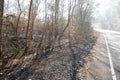 Forest fires on the side of the road, Disasters that occurred in the early summer of Thailand.