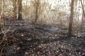 Forest fires, Disasters that occurred in the early summer of Thailand.