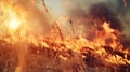 Wildfire spreading through dry grass at sunset, nature in danger