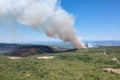 Wildfire spreading on slovenian Karst near italian border in hot summer time