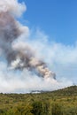 Wildfire with strong wind and drought