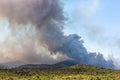 Wildfire with strong wind and drought