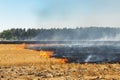 Wildfire on wheat field stubble after harvesting near forest. Burning dry grass meadow due arid climate change hot weather and Royalty Free Stock Photo