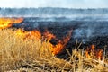 Wildfire on wheat field stubble after harvesting near forest. Burning dry grass meadow due arid climate change hot weather and Royalty Free Stock Photo