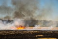 Wildfire on wheat field stubble after harvesting near forest. Burning dry grass meadow due arid climate change hot weather and Royalty Free Stock Photo