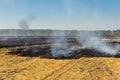 Wildfire on wheat field stubble after harvesting near forest. Burning dry grass meadow due arid climate change hot weather and Royalty Free Stock Photo