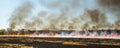 Wildfire on wheat field stubble after harvesting near forest. Burning dry grass meadow due arid climate change hot weather and Royalty Free Stock Photo