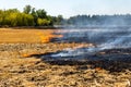 Wildfire on wheat field stubble after harvesting near forest. Burning dry grass meadow due arid climate change hot Royalty Free Stock Photo