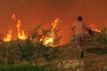 Man saving the olive tree during the massive wildfire Royalty Free Stock Photo