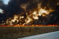 Wildfires. Burning estuary. Fire in the steppe Royalty Free Stock Photo