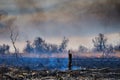 Wildfires. Burning estuary Royalty Free Stock Photo