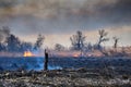 Wildfires. Burning estuary. Royalty Free Stock Photo