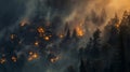 Wildfires burning trees with smoke Royalty Free Stock Photo