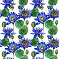 Wildflower blue lotus flower pattern in a watercolor style isolated.