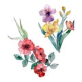 Wildflower bouquet floral botanical flowers. Watercolor background set. Isolated wildflowers illustration element. Royalty Free Stock Photo