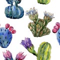 Wildflower cactus flower pattern in a watercolor style.