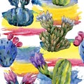 Wildflower cactus flower pattern in a watercolor style.