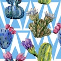 Wildflower cactus flower pattern in a watercolor style.