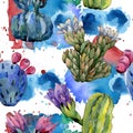 Wildflower cactus flower pattern in a watercolor style.