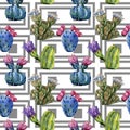 Wildflower cactus flower pattern in a watercolor style.