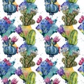 Wildflower cactus flower pattern in a watercolor style.