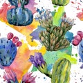 Wildflower cactus flower pattern in a watercolor style.