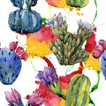 Wildflower cactus flower pattern in a watercolor style.