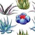 Wildflower cactus pattern in a watercolor style.