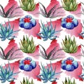 Wildflower cactus pattern in a watercolor style.