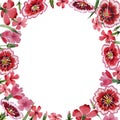 Wildflower carnation flower frame in a watercolor style isolated.