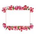 Wildflower carnation flower frame in a watercolor style isolated.