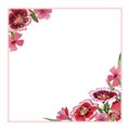 Wildflower carnation flower frame in a watercolor style isolated.