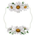 Wildflower chamomile flower frame in a watercolor style isolated.