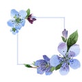 Wildflower cherry flower frame in a watercolor style isolated.