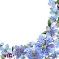 Wildflower cherry flower frame in a watercolor style isolated.