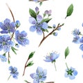 Wildflower cherry flower pattern in a watercolor style isolated.