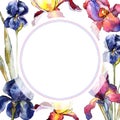 Wildflower colorful iris flower frame in a watercolor style.