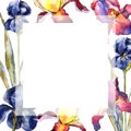 Wildflower colorful iris flower frame in a watercolor style.