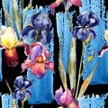 Wildflower colorful iris flower pattern in a watercolor style.