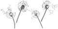 Wildflower dandelion in a vector style isolated.