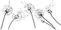 Wildflower dandelion in a vector style isolated.