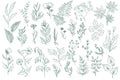 Wildflower decorative outline elements set.