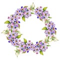 Wildflower dogwood flower wreath in a watercolor style isolated.