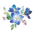 Wildflower forgetmenot flower in a watercolor style isolated.