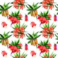 Wildflower Fritillaria imperialis flower pattern in a watercolor style.