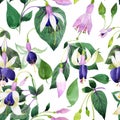Wildflower fuchsia flower pattern in a watercolor style.
