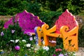 Wildflower garden and benches outdoor relaxing space Royalty Free Stock Photo