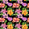 Wildflower hibiscus flower pattern in a watercolor style isolated.